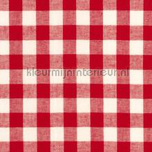Boerenbont ruit 10mm rood vorhang Kleurmijninterieur vorhang top15 