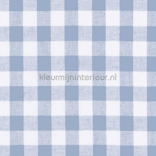 Boerenbont ruit 10mm babyblauw gordijnen ruiten Kleurmijninterieur