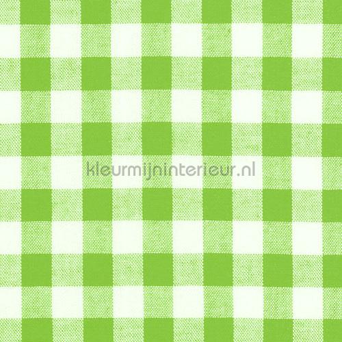 Boerenbont ruit 10mm groen 5635-24 gordijnen Boerenbont ruit ... Boerenbont ruit 10mm groen 5635-24 gordijnen Boerenbont ruit ...