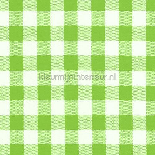 Boerenbont ruit 10mm limegroen rideau 5635-24 carreaux Kleurmijninterieur