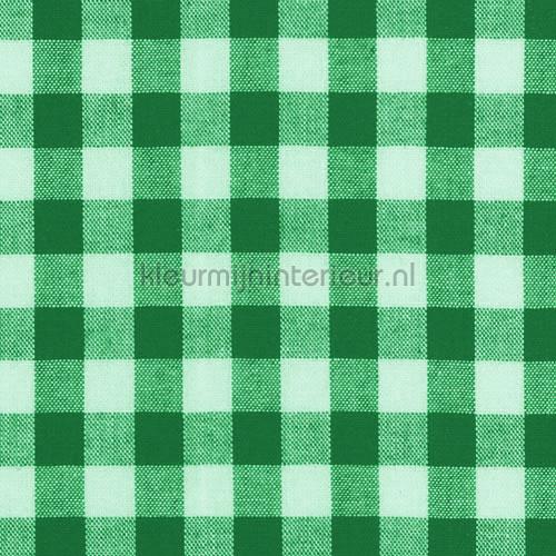 Boerenbont ruit 10mm bosgroen rideau carreaux Kleurmijninterieur