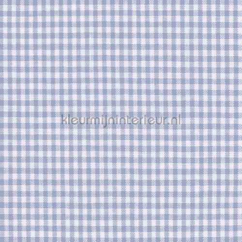 Boerenbont ruit 2mm babyblauw curtains kitchen Kleurmijninterieur