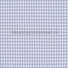 Boerenbont ruit 2mm babyblauw vorhang Kleurmijninterieur tiere 