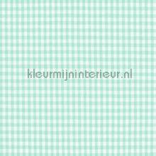 Boerenbont ruit 2mm licht mint vorhang Kleurmijninterieur tiere 