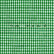 Boerenbont ruit 2mm bosgroen vorhang Kleurmijninterieur tiere 