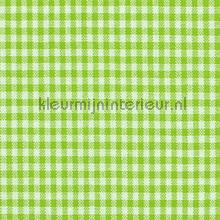 Boerenbont ruit 5mm groen vorhang Kleurmijninterieur tiere 
