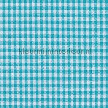 Boerenbont ruit 5mm turquoise vorhang Kleurmijninterieur tiere 