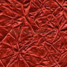 Cha Cha Cha Rood cortinas Fuggerhaus todas as imagens 