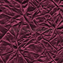 Cha Cha Cha Fuchsia cortinas Fuggerhaus todas as imagens 