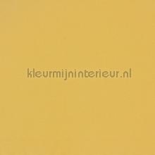 Core sunshine gordijnen Prestigious Textiles modern 
