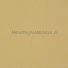 Core desert gordijnen Prestigious Textiles modern 