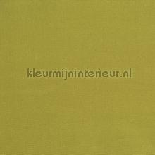 Core gooseberry gordijnen Prestigious Textiles modern 