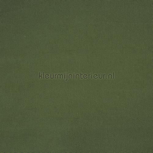 core forest cortinas 7206-616 moderno Prestigious Textiles