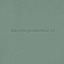 Core seafoam gordijnen Prestigious Textiles modern 