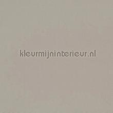 Core chrome gordijnen Prestigious Textiles modern 