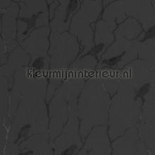 Dazzle Jet Black stoffer Kleurmijninterieur Sommerfugle Fugle 