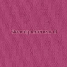 Delicate Wild Aster vorhang Kleurmijninterieur Delicate delicate-843