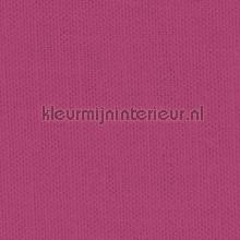 Delicate Wild Aster gurdainstof Kleurmijninterieur Voile 