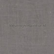 Delicate Frost Gray gurdainstof Kleurmijninterieur Voile 