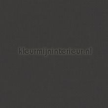 Delicate Jet Black gurdainstof Kleurmijninterieur Voile 