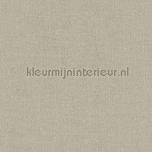 Oyster Gray gurdainstof Kleurmijninterieur Voile 