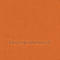 Orange Peel cortinas delight-204 Voile Cores lisas