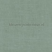 Forget-Me-Not gurdainstof Kleurmijninterieur Voile 