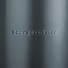 Denton Silver verduisterend cortinas 5801-49 Homing