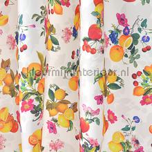 glasgordijnen bestellen landelijk gordijnen online bestellen bij kleurmijninterieur nl glasgordijnen bestellen landelijk gordijnen online bestellen bij kleurmijninterieur nl