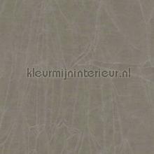 Gentleman Driftwood vorhang Dekortex vorhang top15 