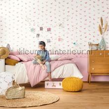 Confetti cortinas Caselio nuevas colecciones 