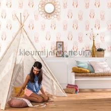 feather cortinas gpr100962215 meninas Caselio