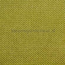 Karneol Chive cortinas Fuggerhaus Karneol 7062-50