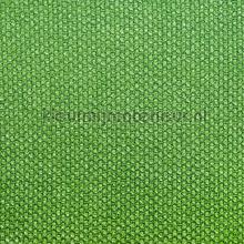 Karneol Ivy cortinas Fuggerhaus Karneol 7062-43
