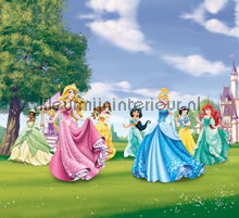 Princesses in the garden gordijnen Kleurmijninterieur meisjes 