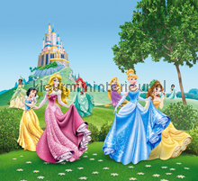 Princesses and flowers curtains Disney - Pixar Kleurmijninterieur