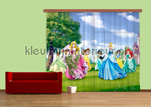 Princesses in the garden tendaggio Disney - Pixar Kleurmijninterieur