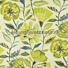 Fandango Mojito rideau 8566-391 fleurs Prestigious Textiles