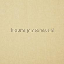 Oslo rice curtains Prestigious Textiles Voile 