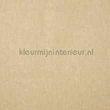 Oslo pumice curtains Prestigious Textiles Voile 