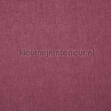 Oslo petunia curtains Prestigious Textiles Voile 