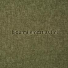 oslo fern gurdainstof Prestigious Textiles Oslo 7154-620