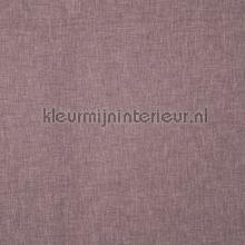 oslo clover rideau Prestigious Textiles Oslo 7154-625