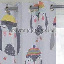 Penquin curtains penguin51 animals A House of Happiness