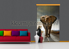 Elephant coming curtains boys Kleurmijninterieur