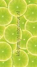 Green limes rideau Kleurmijninterieur Voitures Transport 