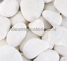 White stones gordijnen Kleurmijninterieur Modern