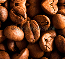 Big coffee beans gordijnen Kleurmijninterieur Landelijk