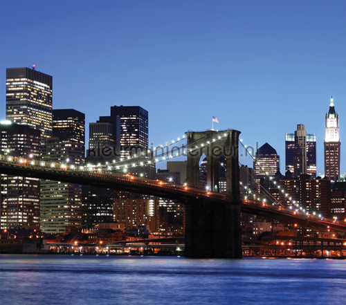 Brooklyn Bridge curtains cities Kleurmijninterieur