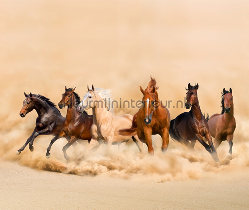 Wild horses gordijnen Photoprints Kleurmijninterieur